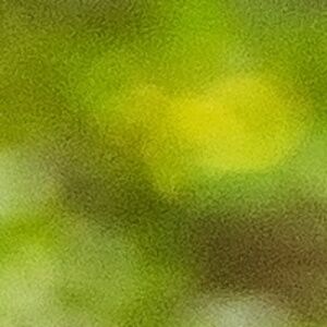 Meet your Posher, Skylar